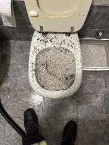 WC intasato a Erba con scarico bloccato