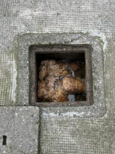 servizio spurghi pronto intervento Como 24h attivo